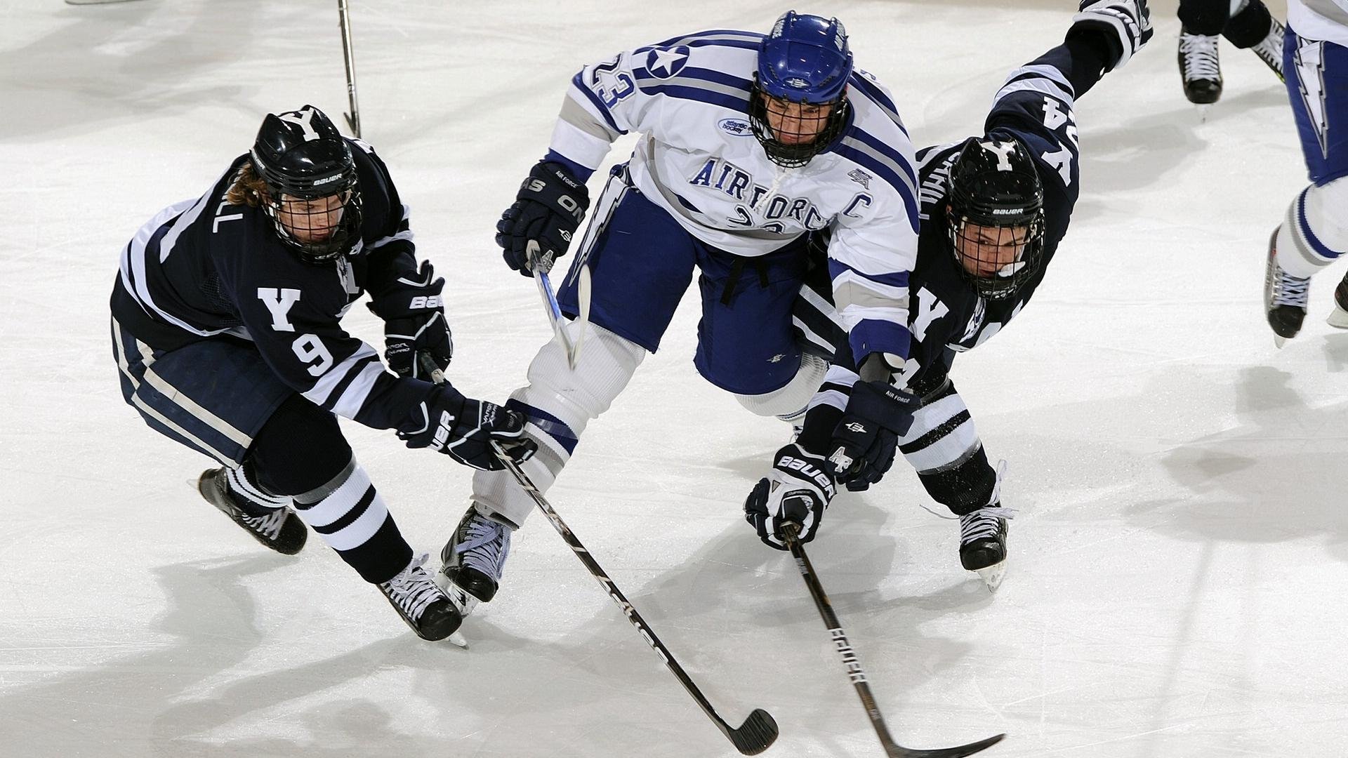 教练团队协作优化战术执行,教练技术团队守则