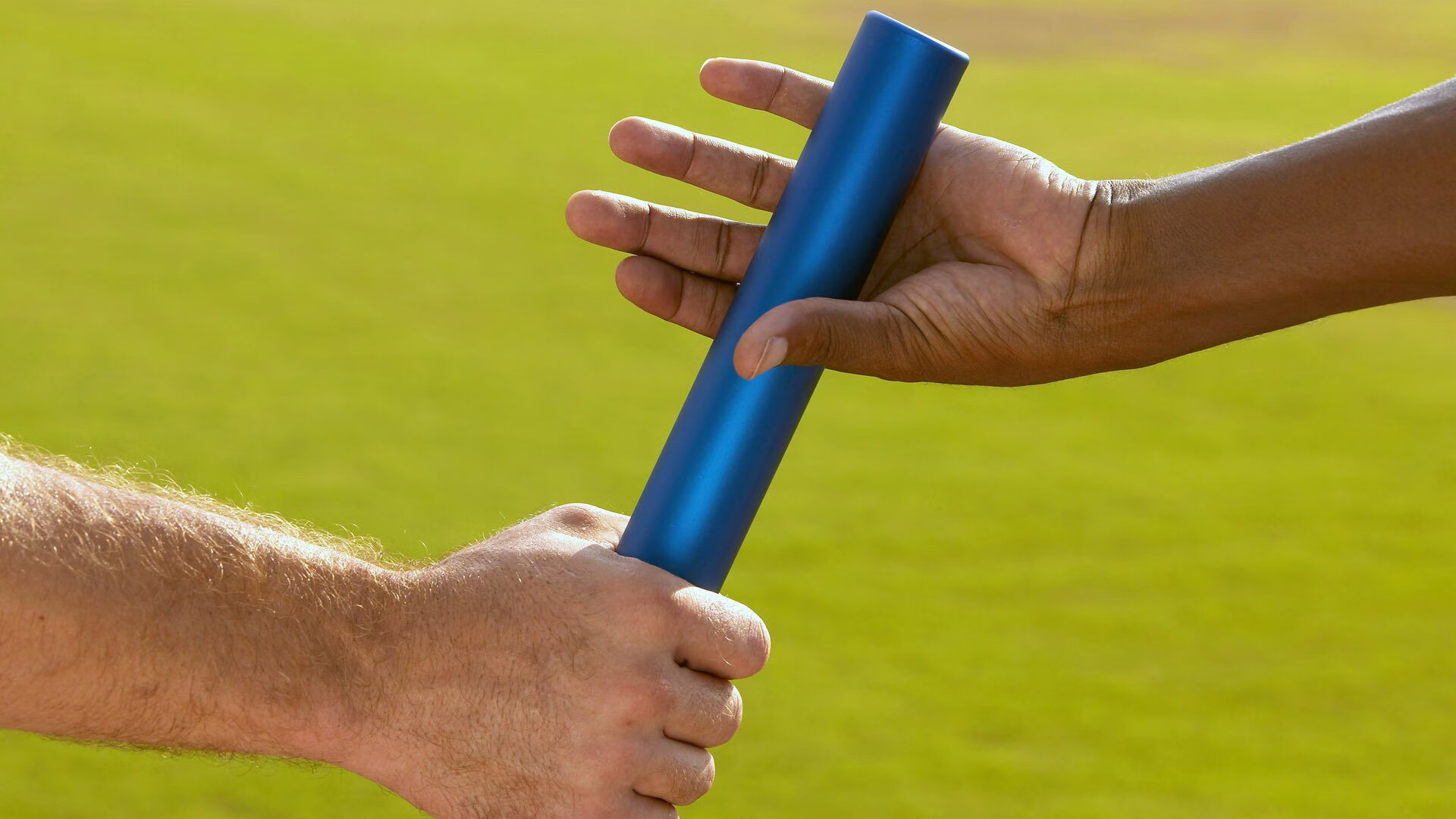 _碳中和运动会：绿色环保践行者的角逐_，碳中和主题活动